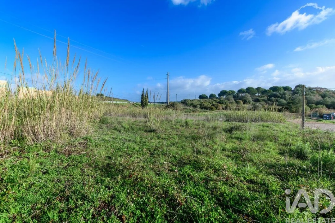 Terreno para Venda em Romeira e Várzea Foto 5