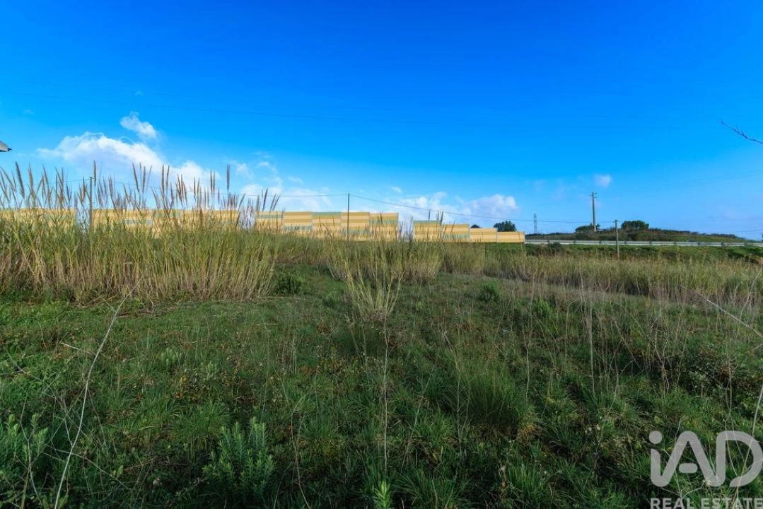 Terreno para Venda em Romeira e Várzea Foto 10