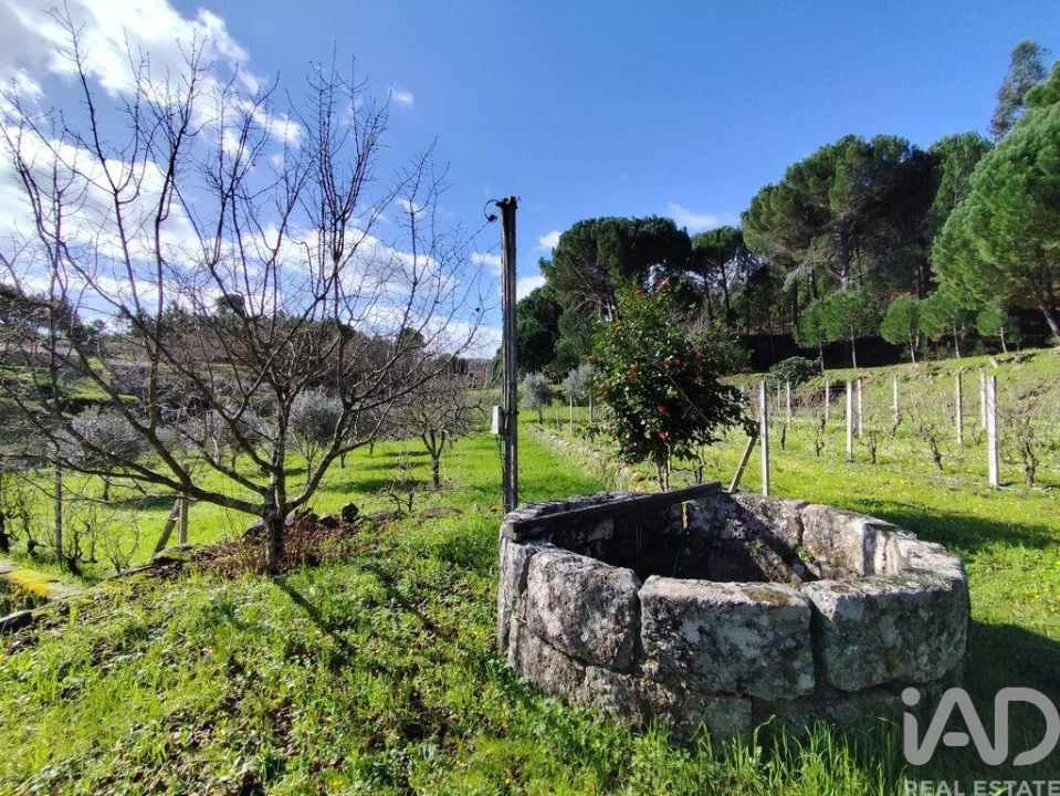 Quinta T4 para Venda em Midões Foto 16