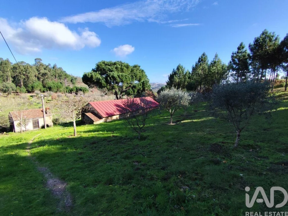 Quinta T4 para Venda em Midões Foto 10