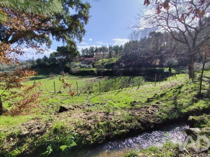 Quinta T4 para Venda em Midões Foto 15