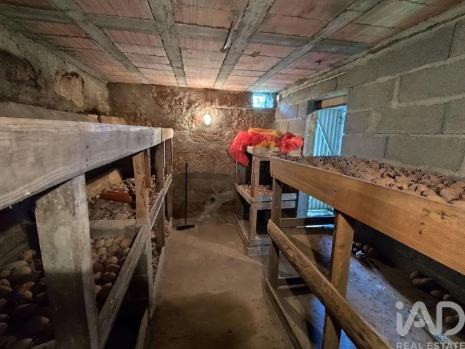 Quinta T4 para Venda em Midões Foto 21