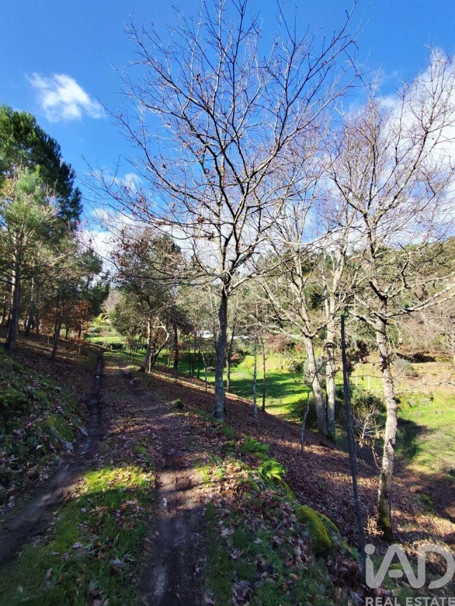 Quinta T4 para Venda em Midões Foto 13