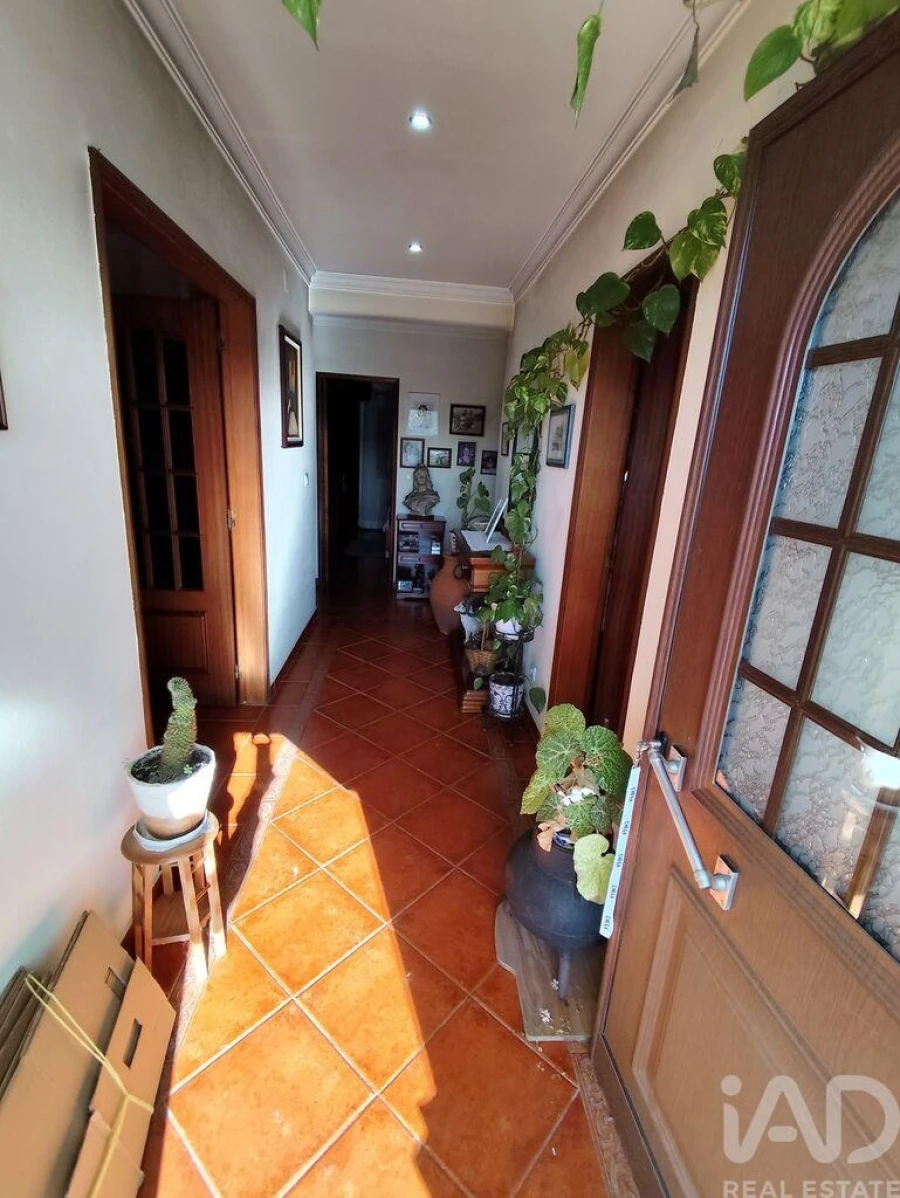 Quinta T4 para Venda em Midões Foto 26