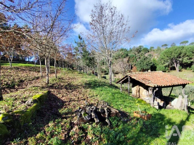 Quinta T4 para Venda em Midões Foto 9