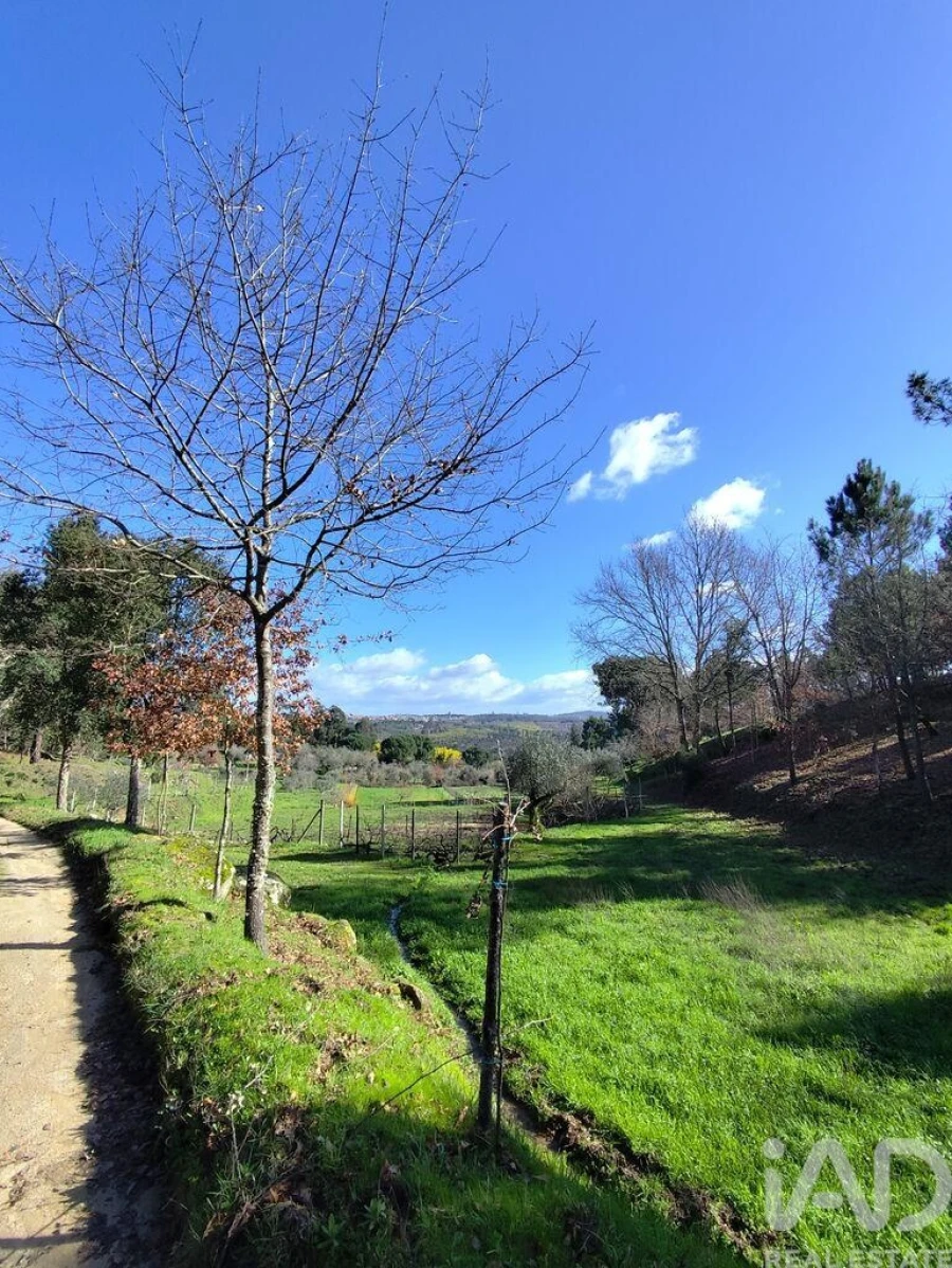 Quinta T4 para Venda em Midões Foto 14