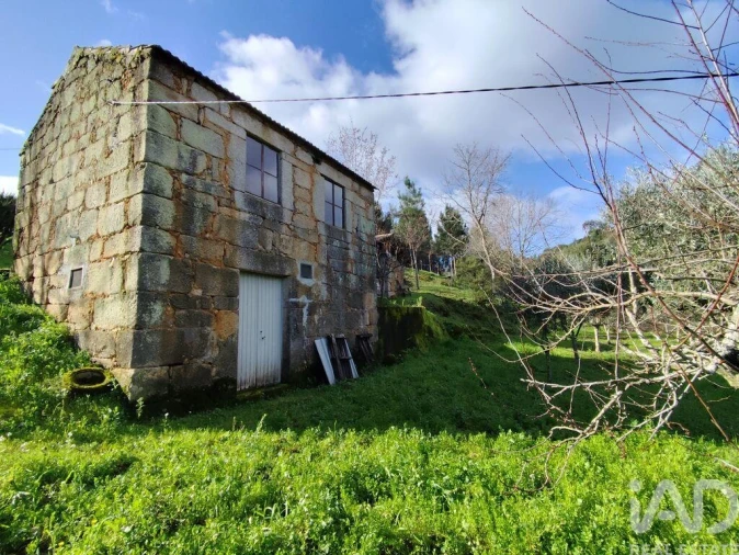 Quinta T4 para Venda em Midões Foto 3