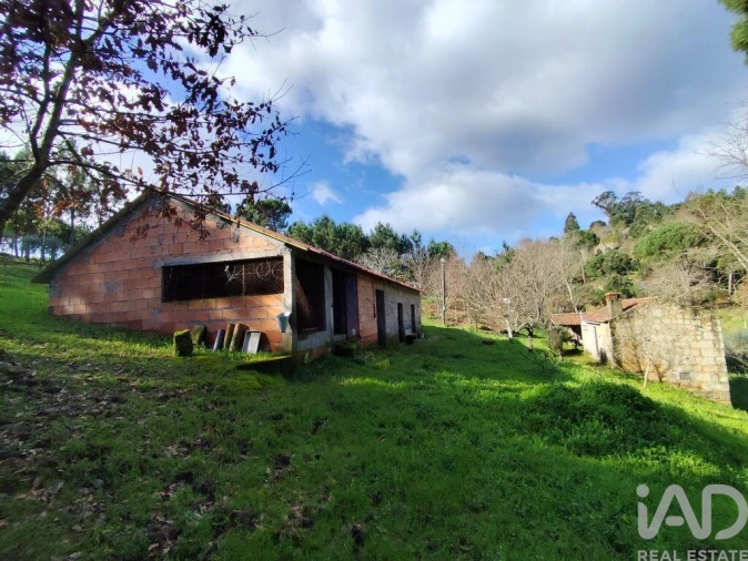 Quinta T4 para Venda em Midões Foto 5