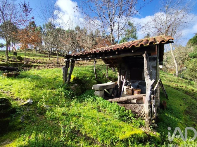 Quinta T4 para Venda em Midões Foto 7