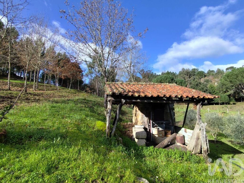 Quinta T4 para Venda em Midões Foto 6