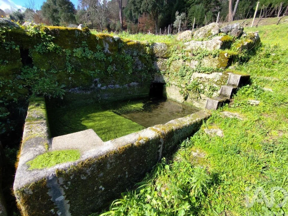 Quinta T4 para Venda em Midões Foto 17