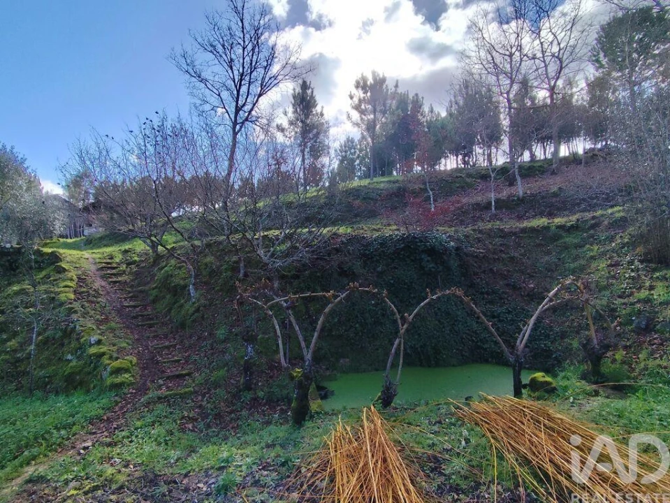 Quinta T4 para Venda em Midões Foto 18