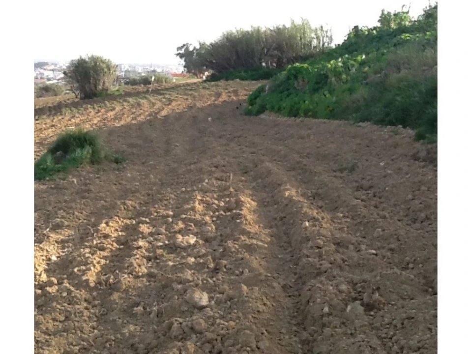 Terreno P/ Prédio para Venda em Caparica e Trafaria Foto 15