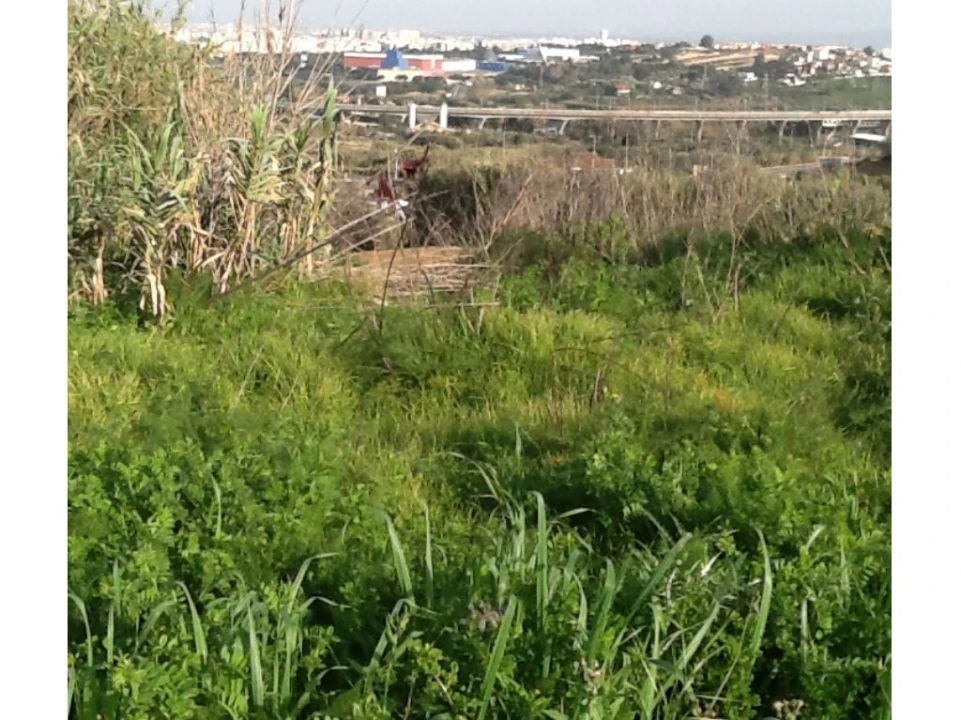 Terreno P/ Prédio para Venda em Caparica e Trafaria Foto 16