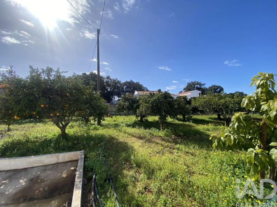 Loja para Venda em São Brás de Alportel Foto 27