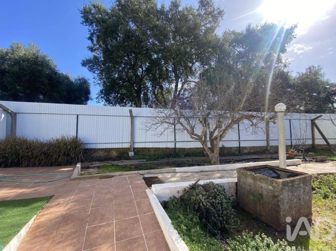 Loja para Venda em São Brás de Alportel Foto 29