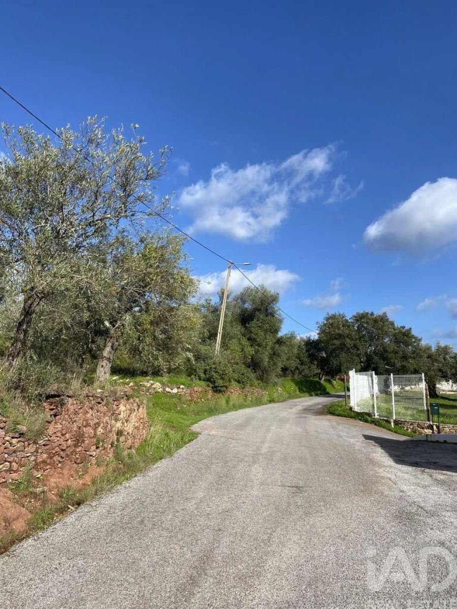 Loja para Venda em São Brás de Alportel Foto 5