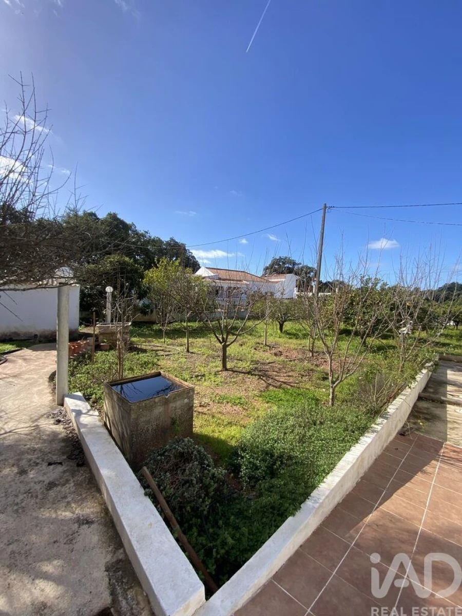 Loja para Venda em São Brás de Alportel Foto 30