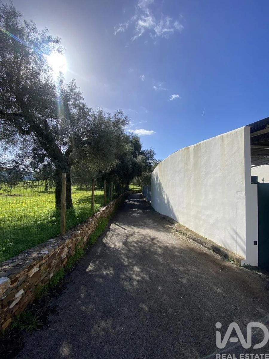 Loja para Venda em São Brás de Alportel Foto 19