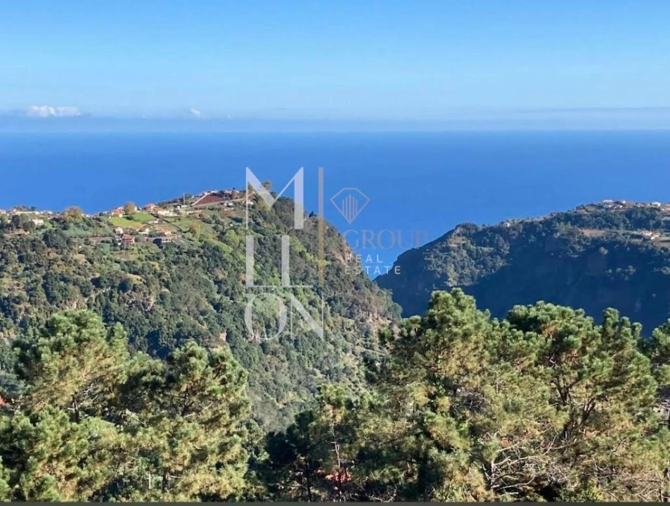 Terreno para Venda em Ilha Foto 3