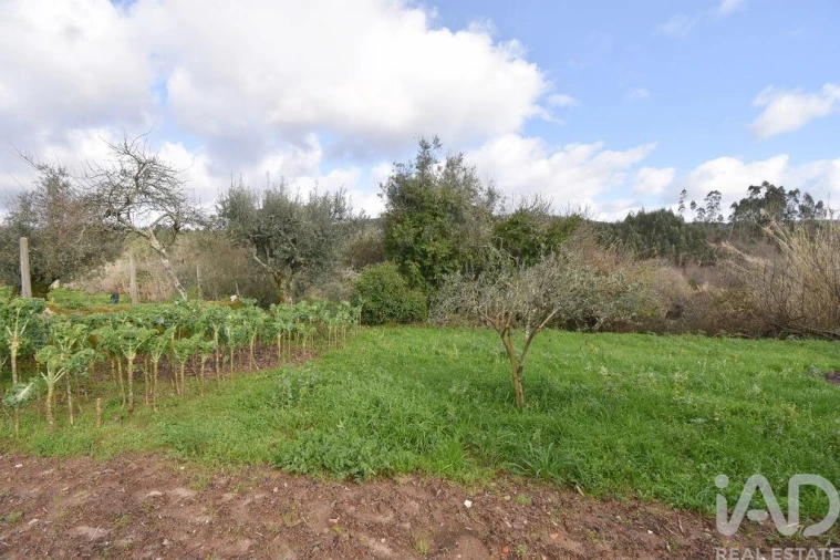 Moradia T3 para Venda em Cumeeira Foto 25