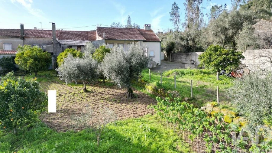 Moradia T3 para Venda em Cumeeira Foto 33