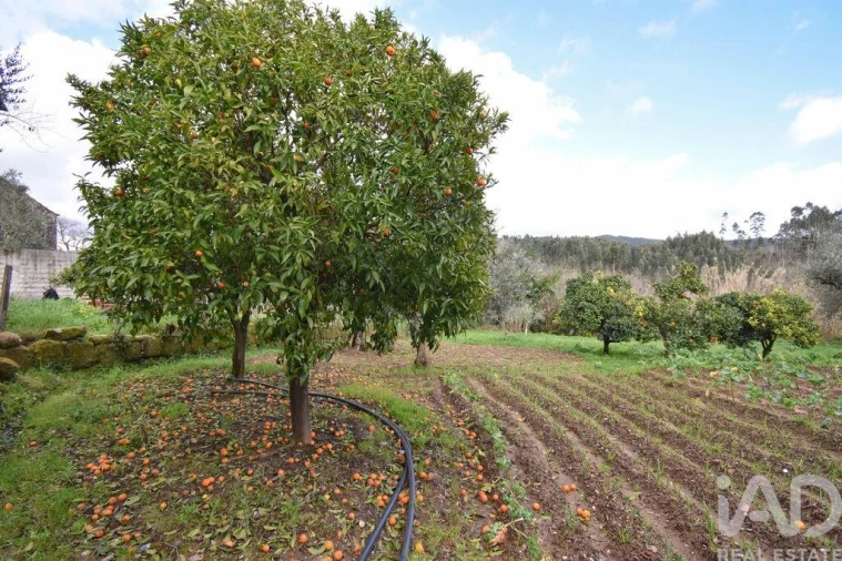 Moradia T3 para Venda em Cumeeira Foto 23