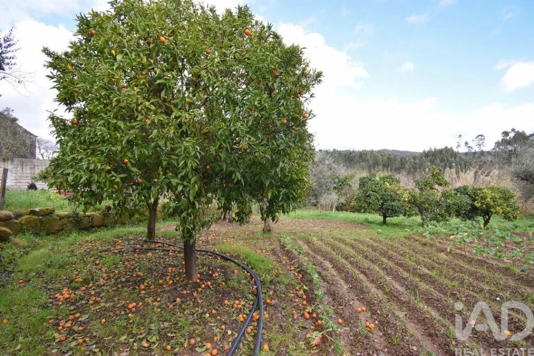 Moradia T3 para Venda em Cumeeira Foto 23