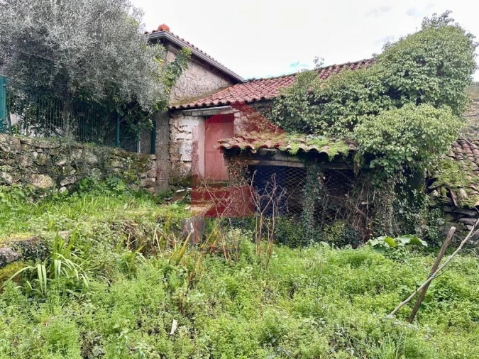 Moradia para Venda em Vila Chã (São João Baptista e Santiago) Foto 9