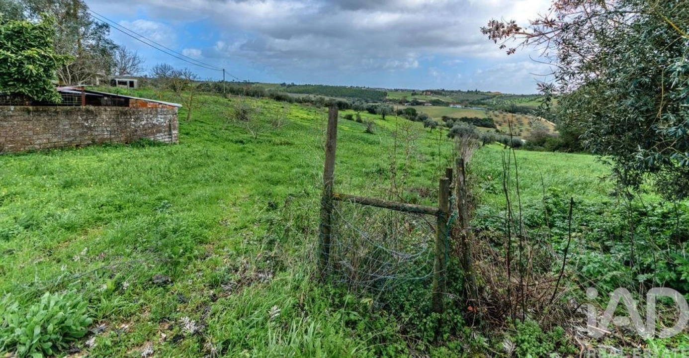 Terreno para Venda em Abitureiras Foto 11
