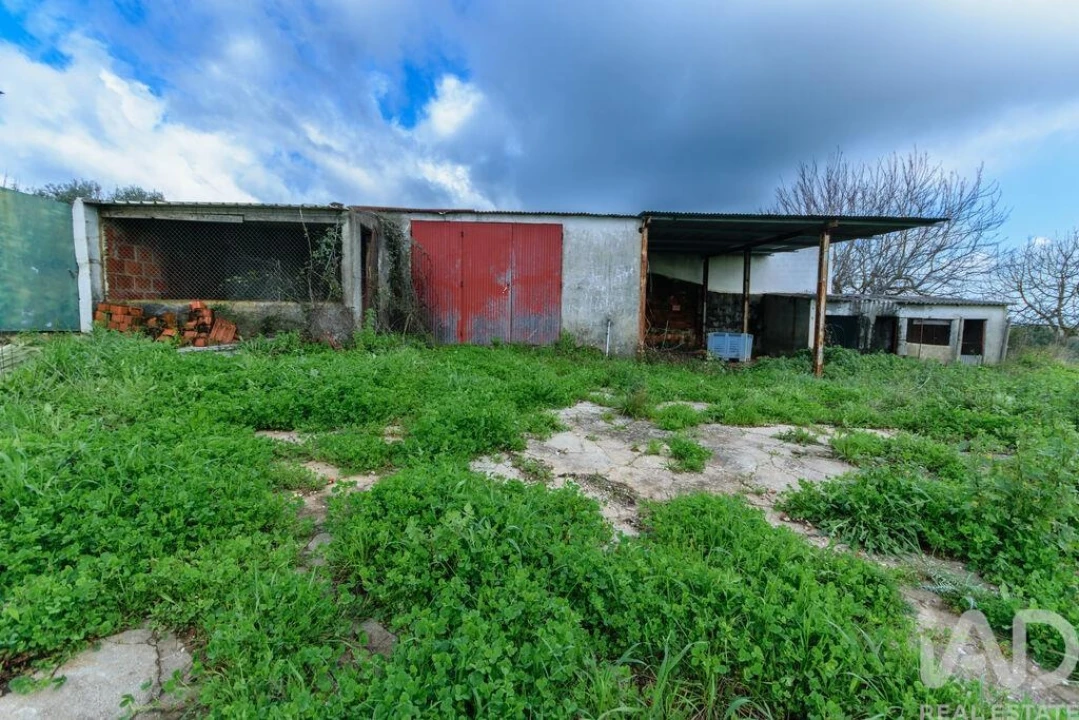 Terreno para Venda em Abitureiras Foto 3