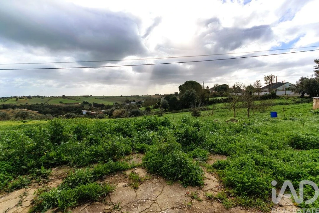 Terreno para Venda em Abitureiras Foto 2
