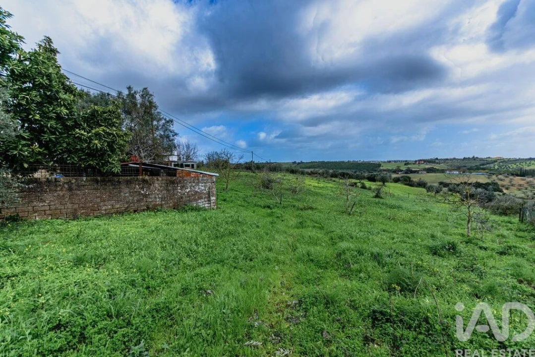 Terreno para Venda em Abitureiras Foto 14