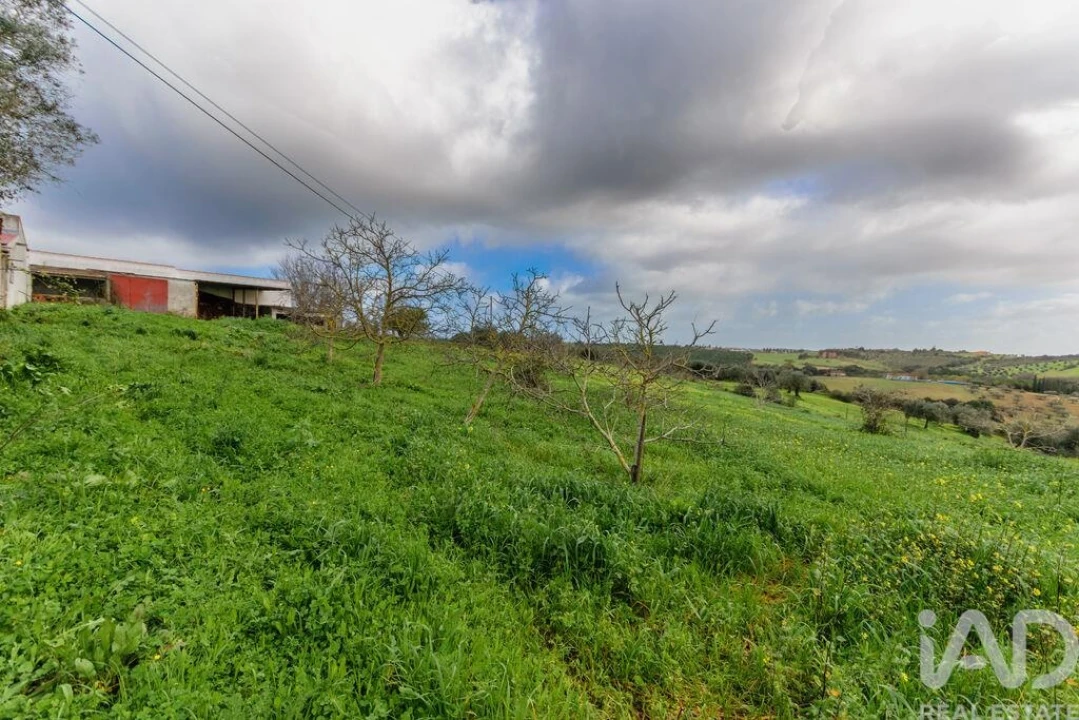 Terreno para Venda em Abitureiras Foto 12