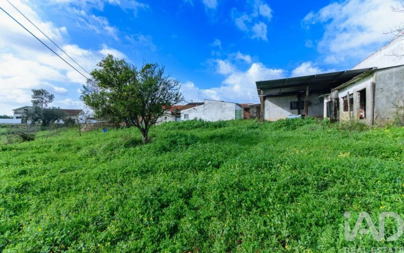 Terreno para Venda em Abitureiras Foto 4