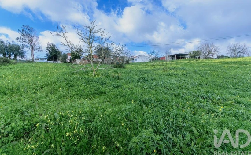 Terreno para Venda em Abitureiras Foto 8