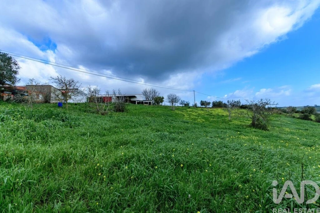 Terreno para Venda em Abitureiras Foto 10