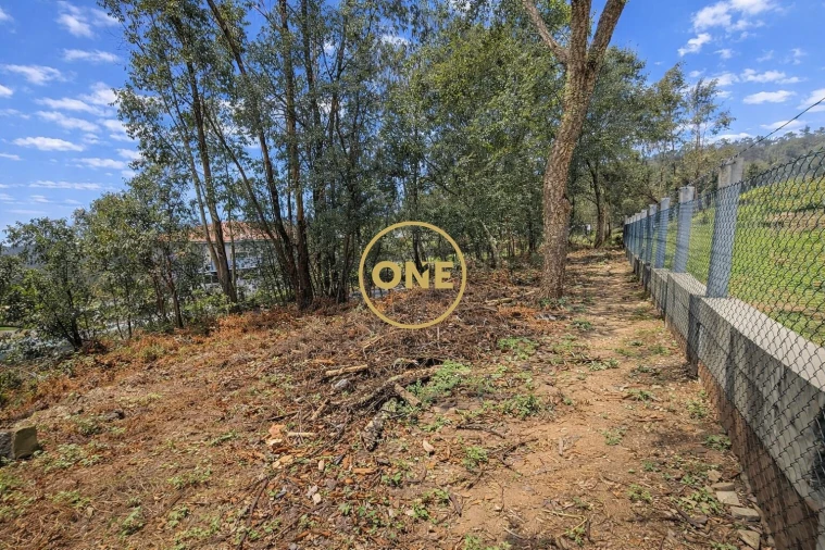 Terreno para Venda em Freiriz Foto 4