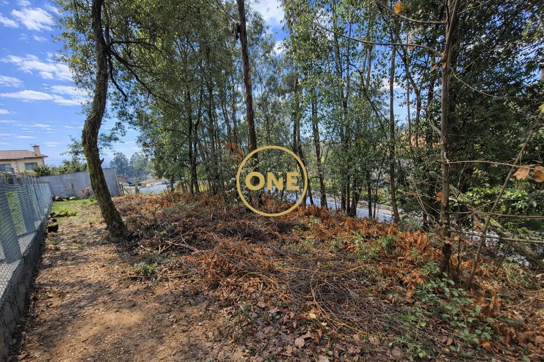 Terreno para Venda em Freiriz Foto 6