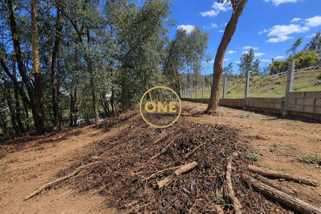 Terreno para Venda em Freiriz Foto 3