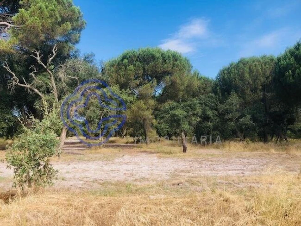 Terreno para Venda em Poceirão e Marateca Foto 2
