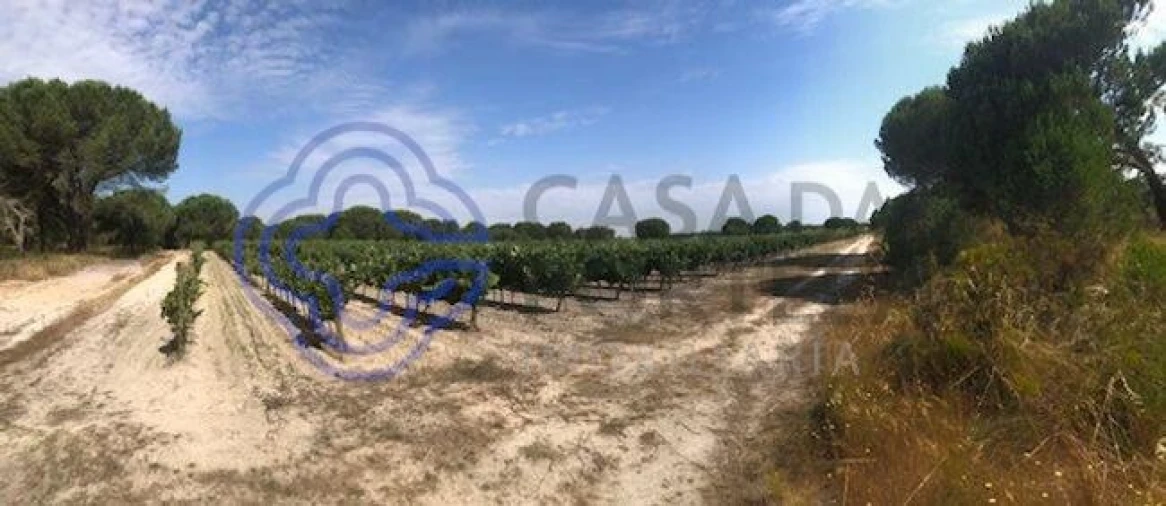 Terreno para Venda em Poceirão e Marateca Foto 6