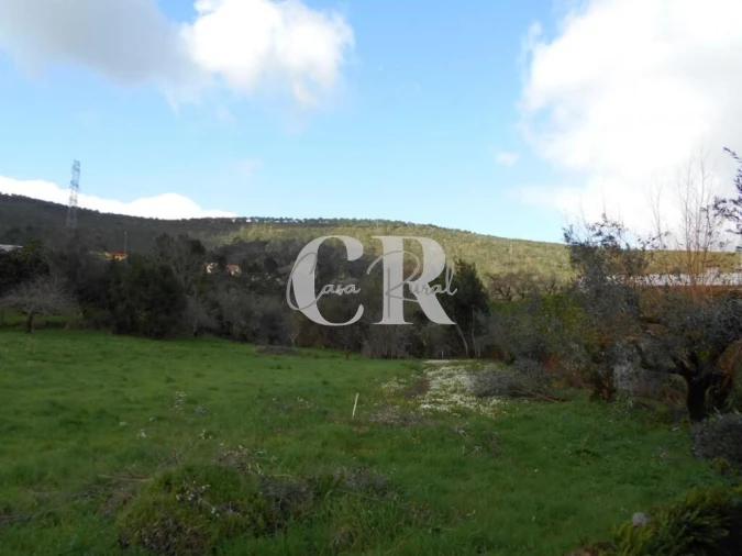 Moradia T4 para Venda em Pousaflores Foto 80