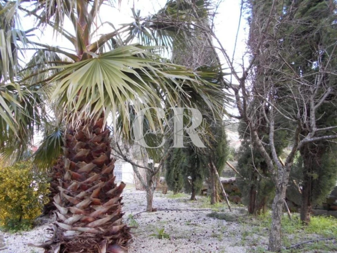 Moradia T4 para Venda em Pousaflores Foto 79