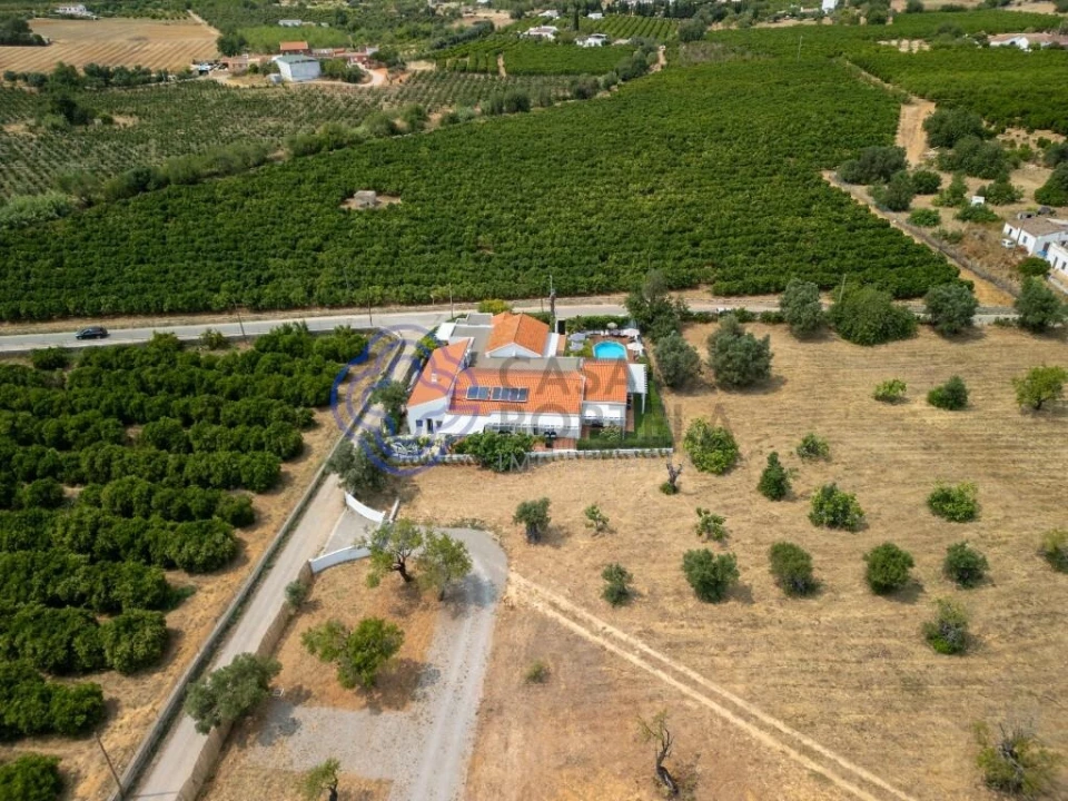 Negócio para Venda em Tavira (Santa Maria e Santiago) Foto 5