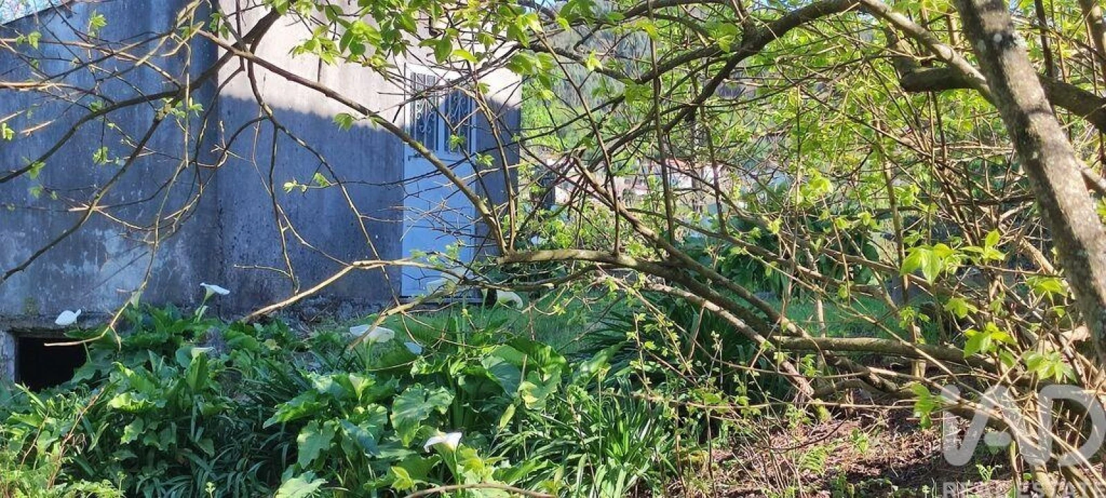 Quinta T3 para Venda em Cornes Foto 30