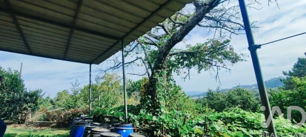 Quinta T3 para Venda em Cornes