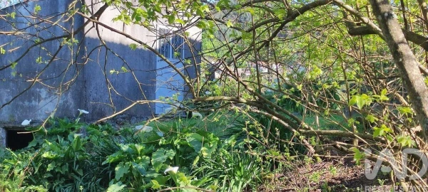 Quinta T3 para Venda em Cornes