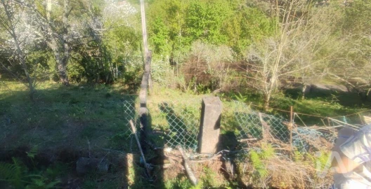 Quinta T3 para Venda em Cornes