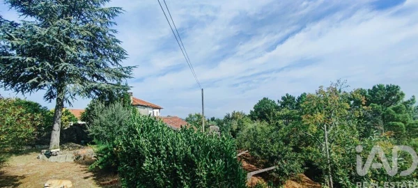 Quinta T3 para Venda em Cornes